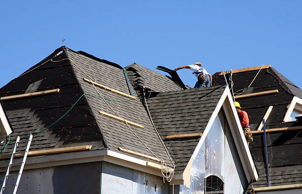 Best Roof Gutter Cleaning  in Sun Prairie, WI